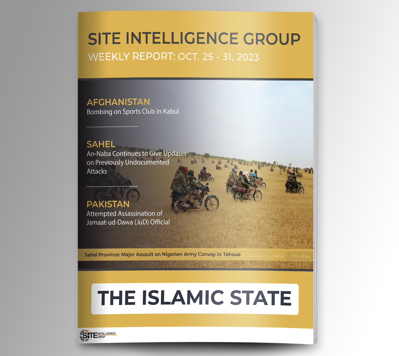 Weekly inSITE on the Islamic State for October 25-31, 2023