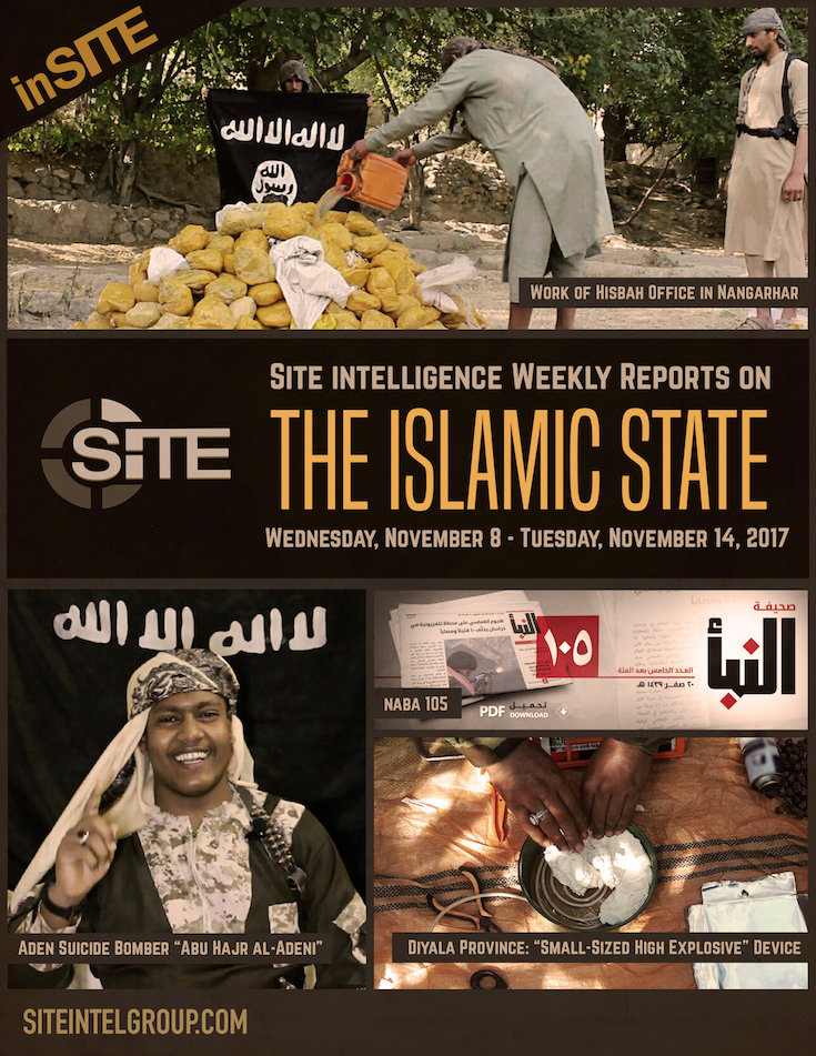 Weekly inSITE on the Islamic State, November 8-14