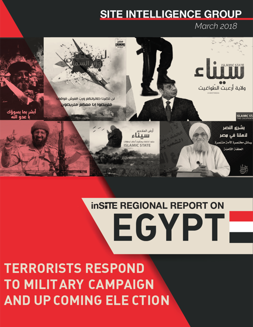 inSITE Regional Report on Egypt: Terrorists Respond to Military Campaign and Upcoming Election