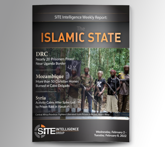 Weekly inSITE on the Islamic State for February 2-8, 2022