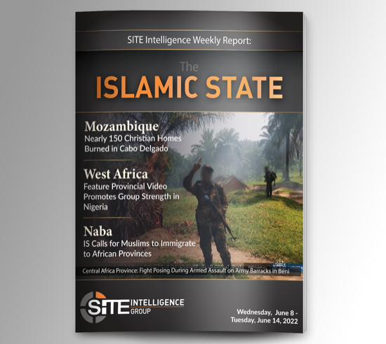 Weekly inSITE on the Islamic State for June 8-14, 2022