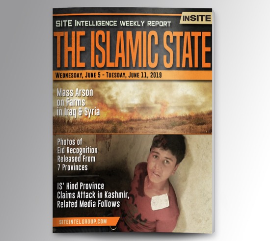 Weekly inSITE on the Islamic State for June 5-11, 2019