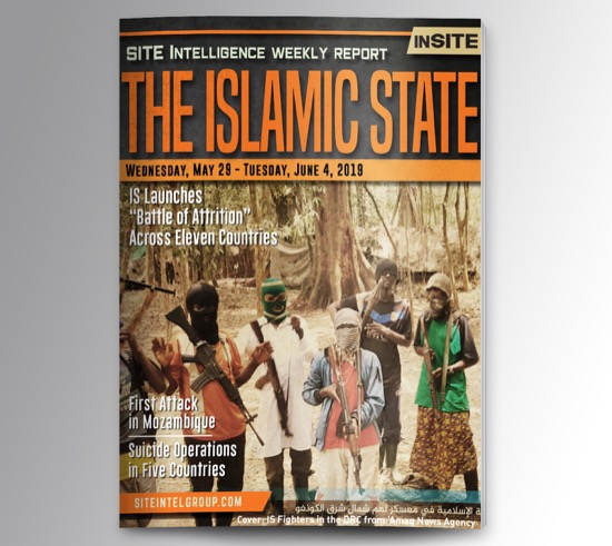 Weekly inSITE on the Islamic State for May 29-June 4, 2019