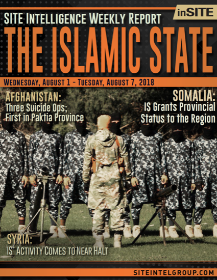 Weekly inSITE on the Islamic State for August 1-7, 2018