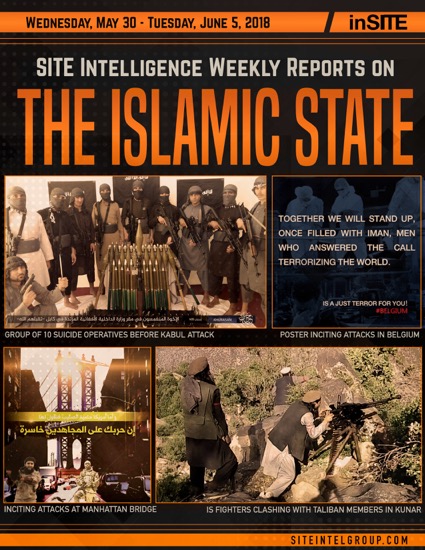 Weekly inSITE on the Islamic State for May 30-June 5, 2018