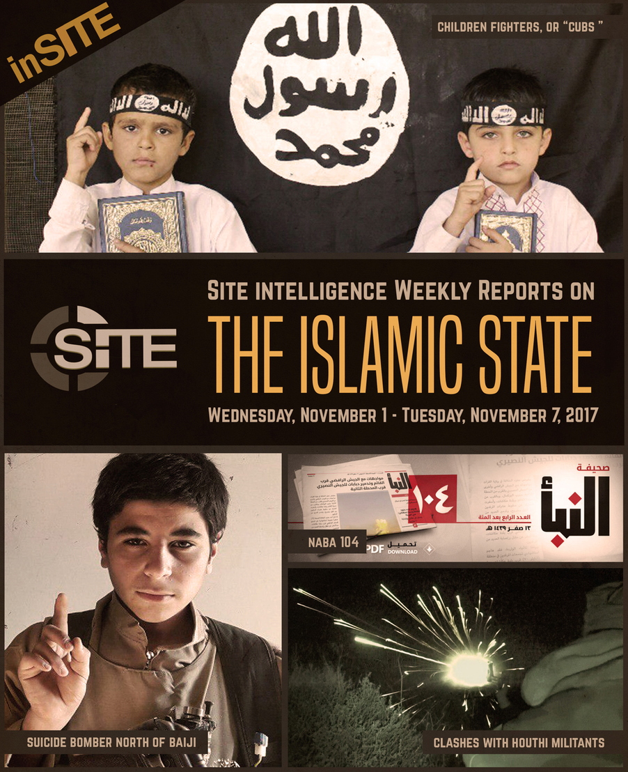 Weekly inSITE on the Islamic State, November 1-7