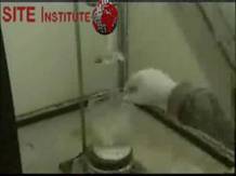 site-institute---1-19-06---an-instructional-video-for-the-preparation-of-nitroglycerin