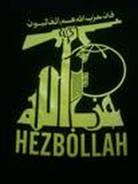 site-institute---7-18-06---selected-domestic-hezbollah-funding-and-support-cells