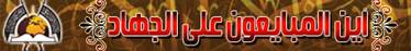 site-intel-group---6-16-08---maasadat-al-mujahideen-establishment,-attack