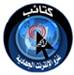 site-intel-group---10-28-08---internet-attack-brigades-islamic-maghreb-2