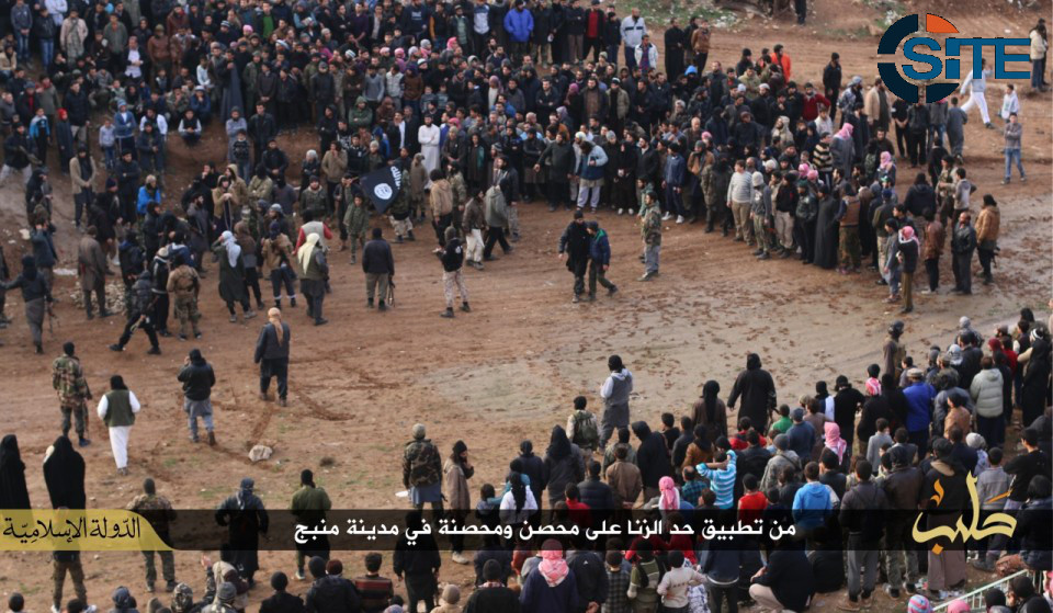 aleppos4
