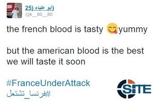 Jihadists on Twitter Celebrate Attacks in Paris Speculate Who Planned them4