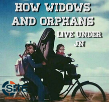orphans 3