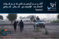 Amaq Reports IS Fighters in Nigeria Killing Over 40 African Forces in Surprise Attack 