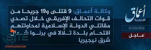 Amaq Reports 9 Killed 19 Wounded in IS Attack in Nigerias Borno State