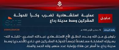 IS Division in Yemen Claims Suicide Bombing on Den of Houthis in Radaa