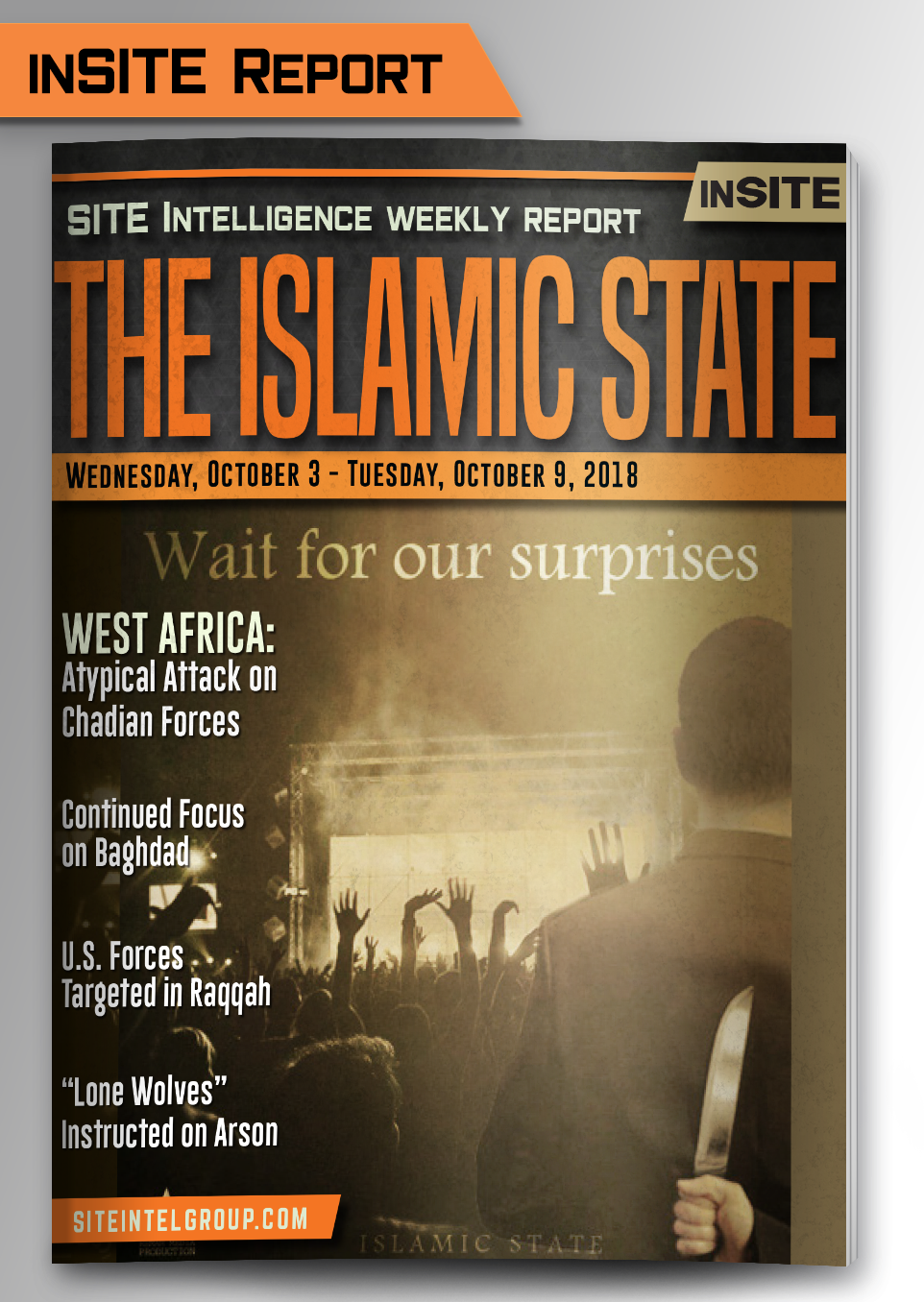 Weekly inSITE on the Islamic State for October 3-9, 2018
