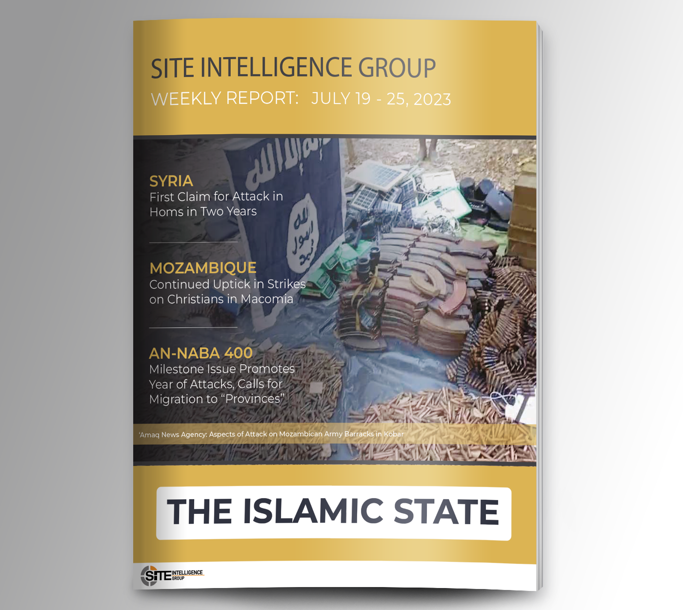 Weekly inSITE on the Islamic State for July 19-25, 2023