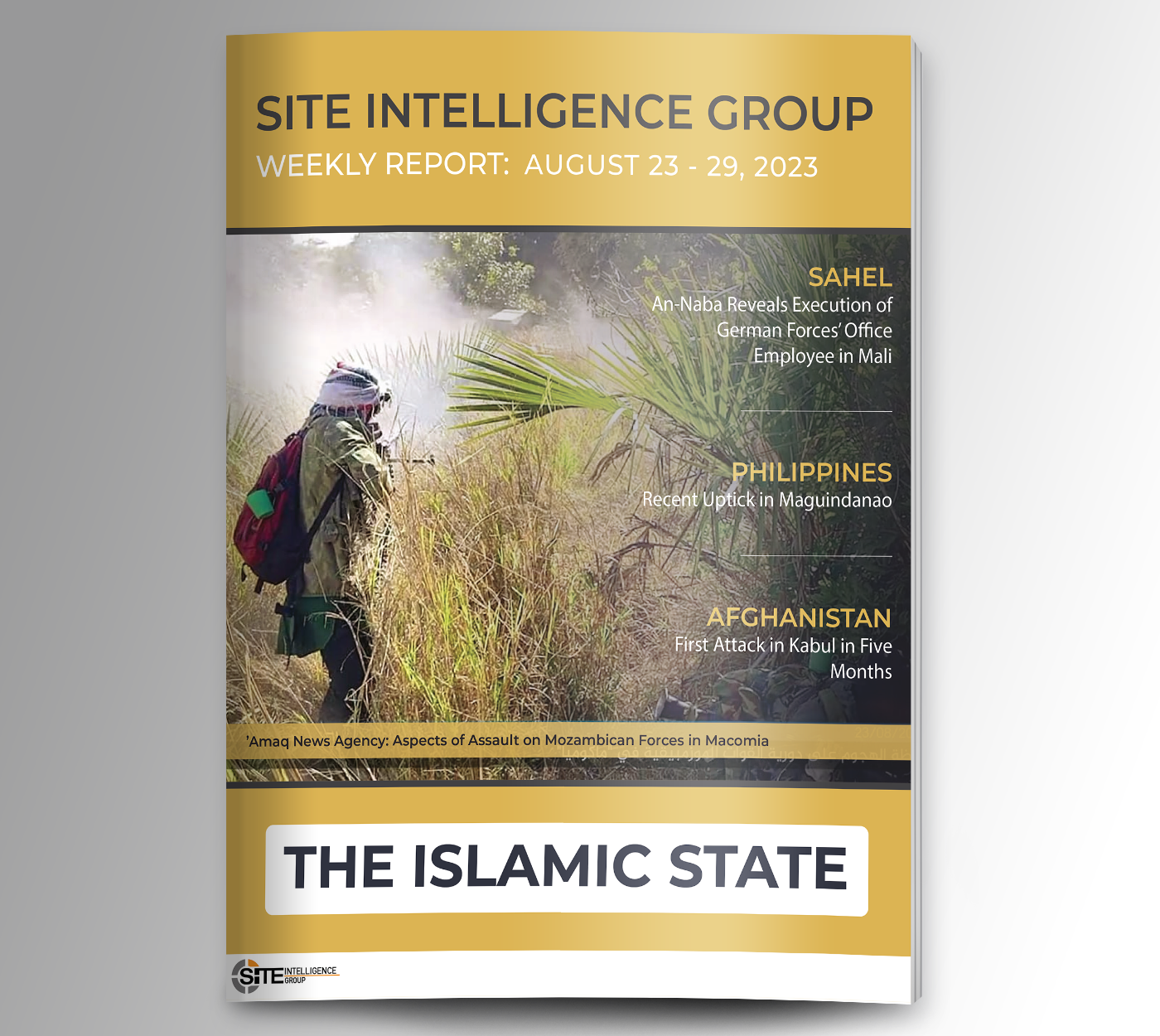Weekly inSITE on the Islamic State for August 23-29, 2023