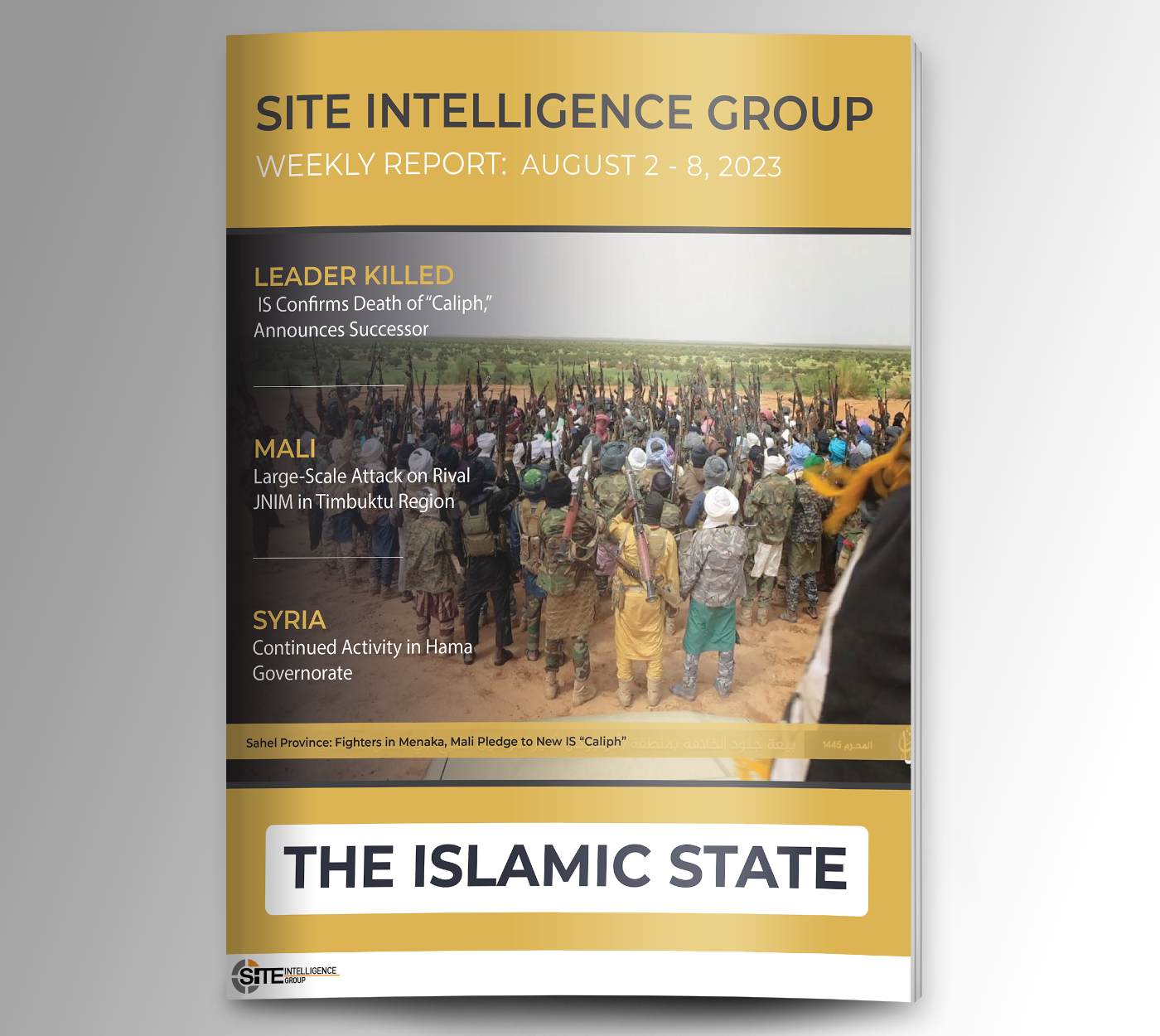 Weekly inSITE on the Islamic State for August 2-8, 2023