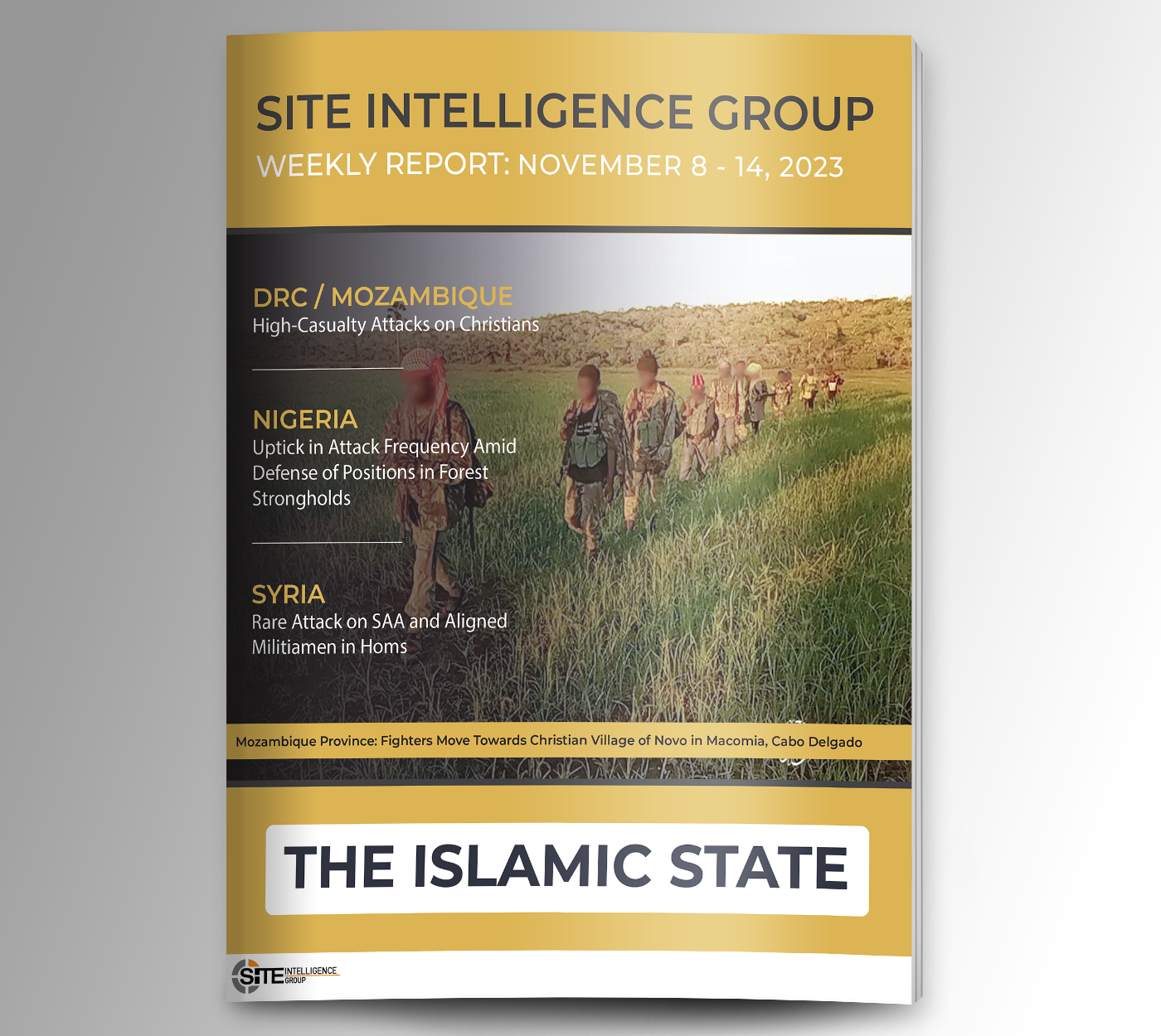 Weekly inSITE on the Islamic State for November 8-14, 2023