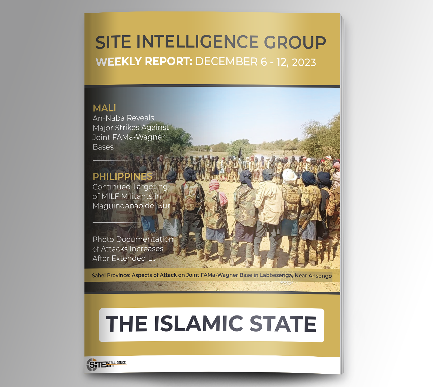 Weekly inSITE on the Islamic State for December 6-12, 2023