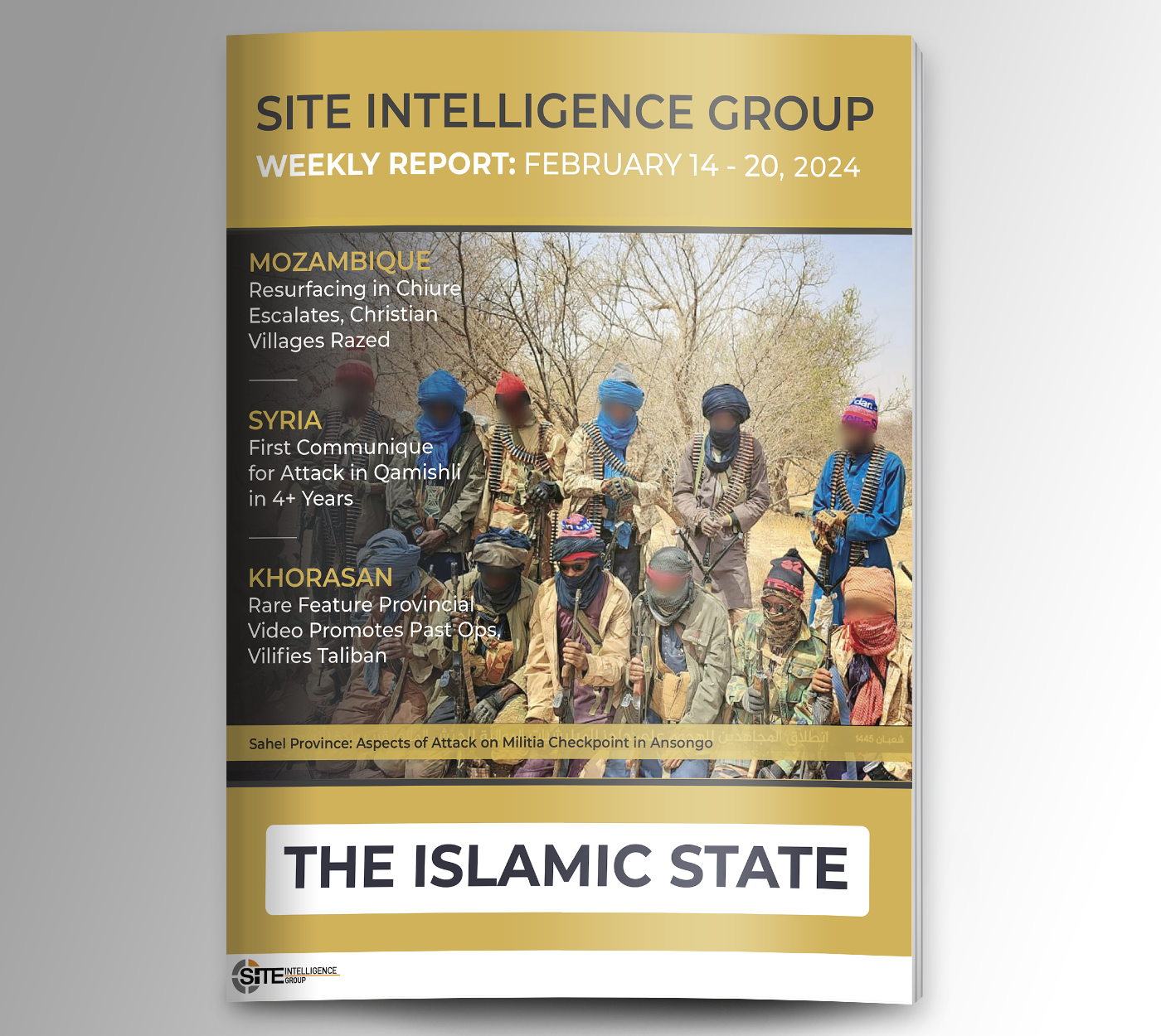 Weekly inSITE on the Islamic State for February 14-20, 2024