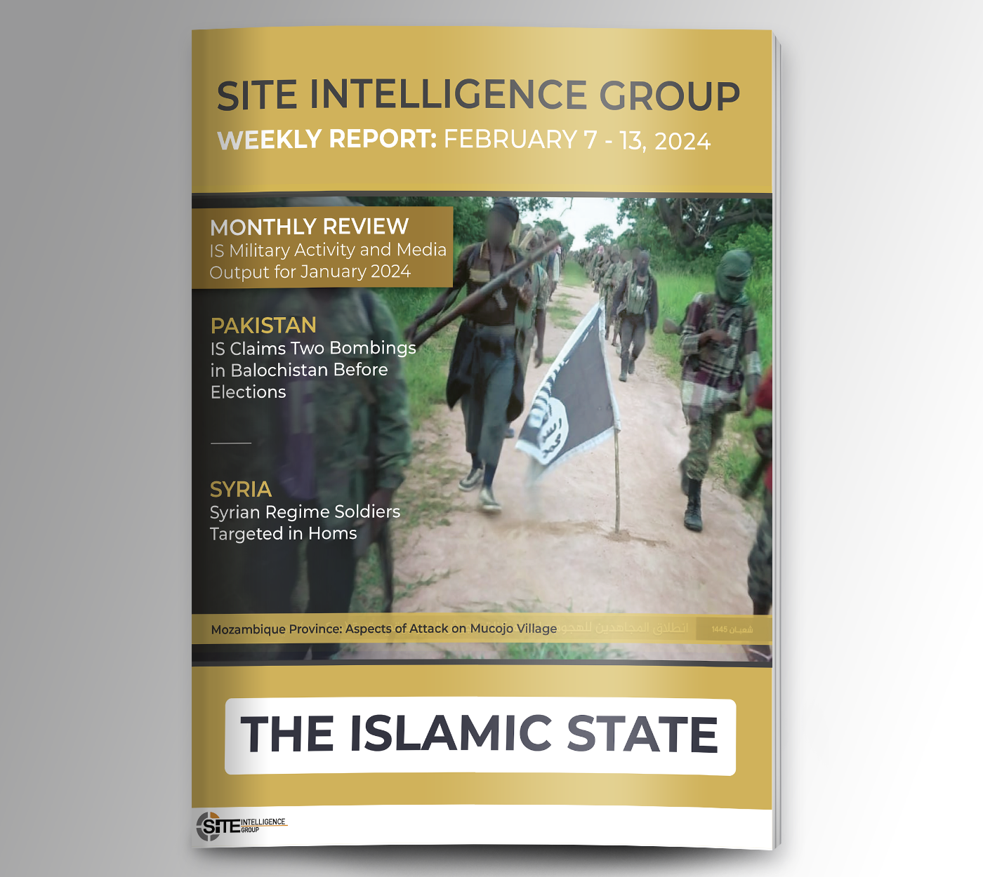 Weekly inSITE on the Islamic State for February 7-13, 2024