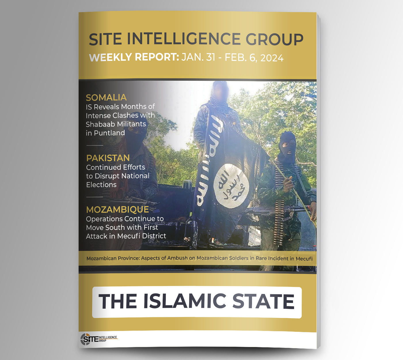 Weekly inSITE on the Islamic State for January 31-February 6, 2024
