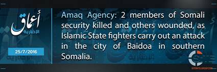 IS Fighters Kill Two from Somali Security Forces According to IS Amaq News Agency