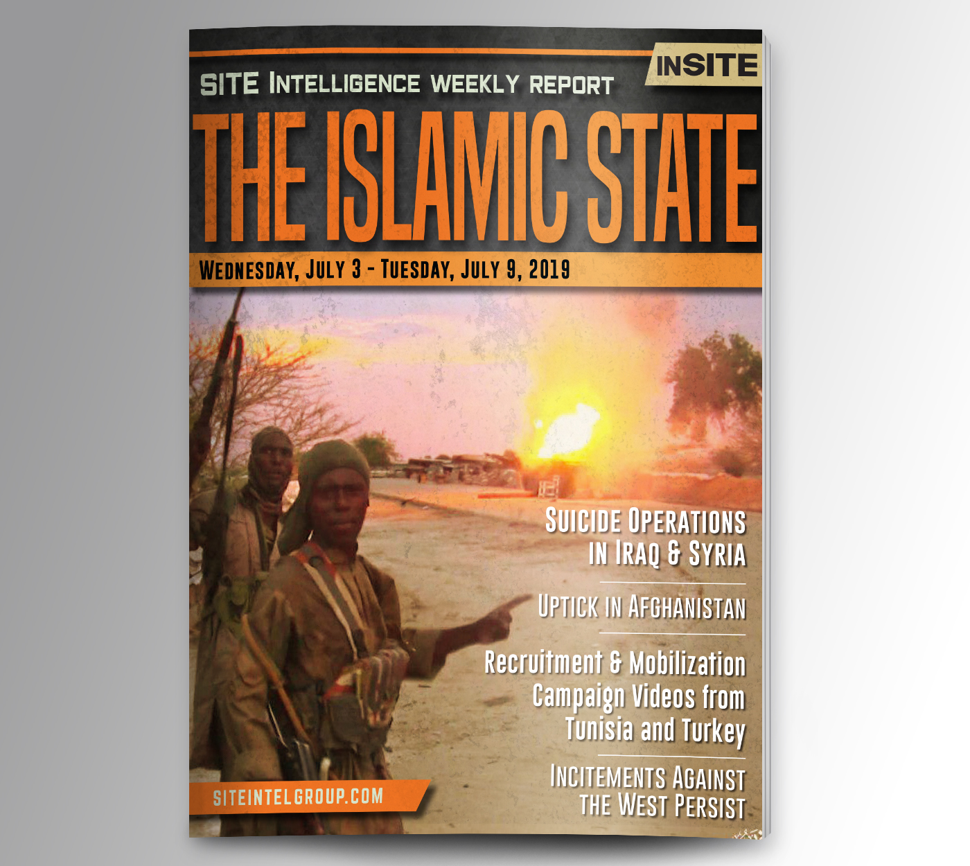 Weekly inSITE on the Islamic State for July 10-16, 2019