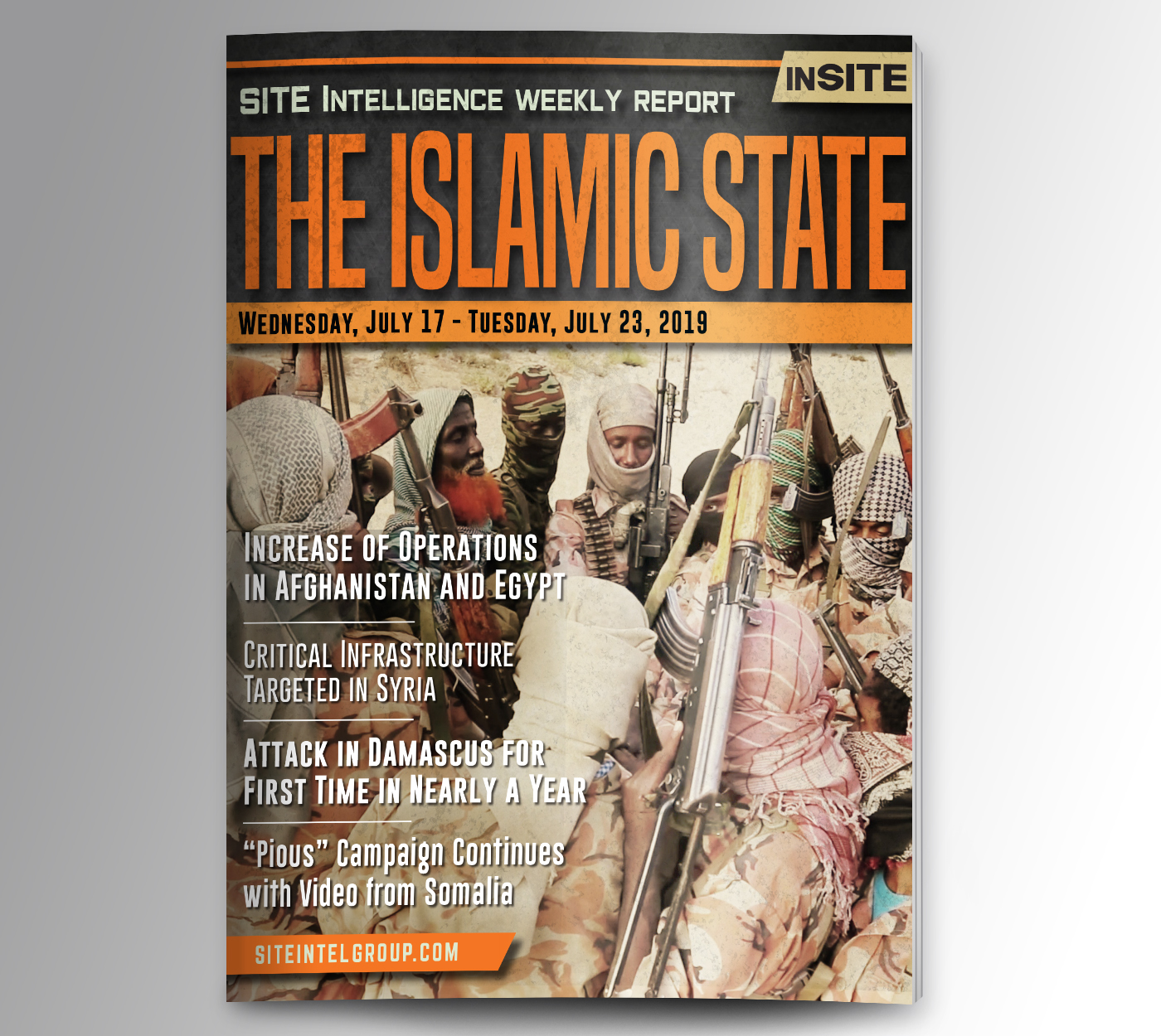 Weekly inSITE on the Islamic State for July 17-23, 2019