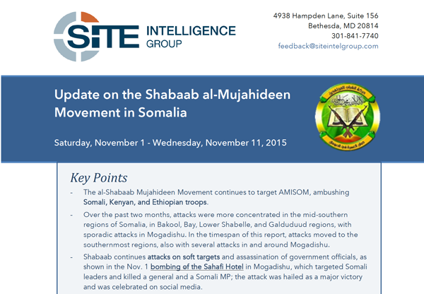 al shabaab research paper